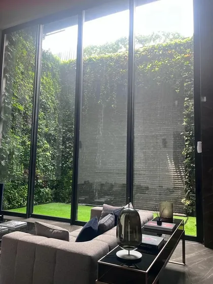 A view from a basement living area into a sunken courtyard, filled with natural light and a vertical green wall. This biophilic design solution ensures a connection to nature even in subterranean spaces, making them feel open and alive.