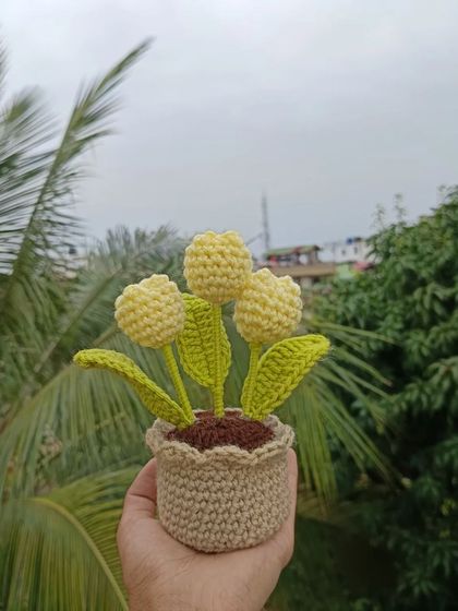 Cheerful Potted Plants photo 80