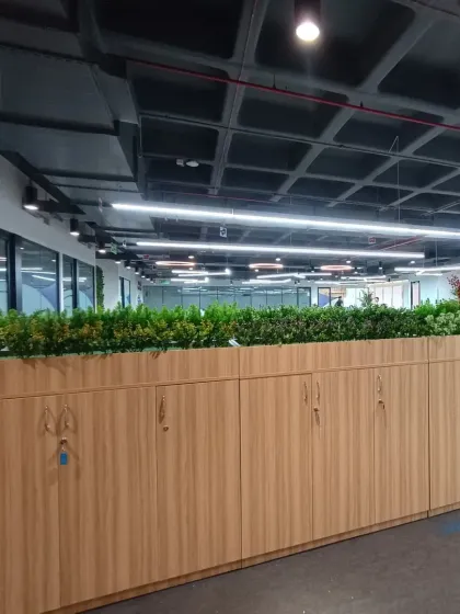 Another view of the office planters, showing how they act as a natural and attractive divider in an open-plan office environment.