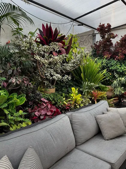 Even a small urban terrace can become a lush sanctuary. We use a rich diversity of potted plants to build a green retreat that envelops you, providing a sense of privacy and a connection to nature in the city.