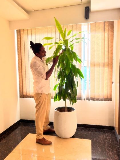 Greening Commercial Spaces photo 27