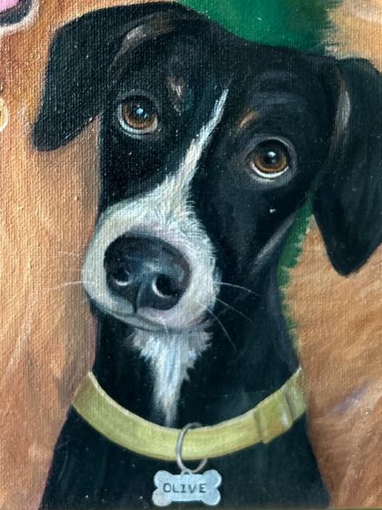 This is Olive, whose sweet head tilt I just had to capture. I made sure to include her personalized dog tag, a small detail that makes the portrait uniquely hers.