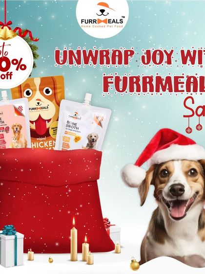 Here are more of our festive sale announcements, including for Diwali, Christmas, and Independence Day. I always try to make these celebrations special for your pets too.