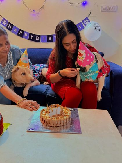 A sweet moment as Max gets a taste of his birthday cake from his owner. These are the memories we love to help create.