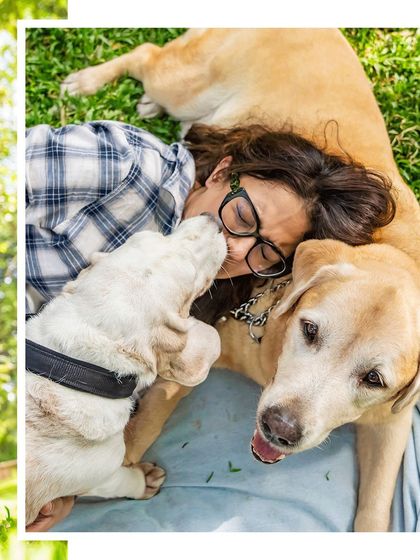 Pawparazzi By Prathima - Pet Milestone Photography Senior Tributes & Golden Years photo 23