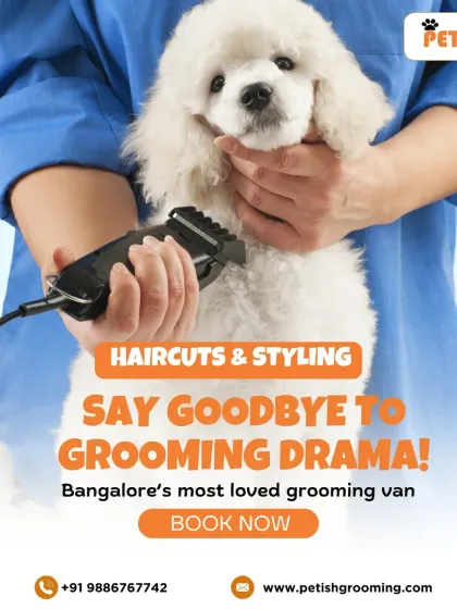 Petish Grooming - Mobile Grooming for Dogs & Cats Our Full Grooming Process photo 7