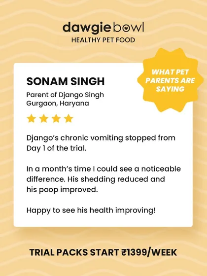 Seeing results from day one is incredible. This review about Django’s chronic vomiting stopping and his overall health improving in just a month is a testament to the power of a clean, natural diet.