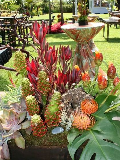 An exotic and sculptural centerpiece. This arrangement uses unique flowers like proteas and beehive ginger, along with succulents and monstera leaves, for a tropical and modern look.