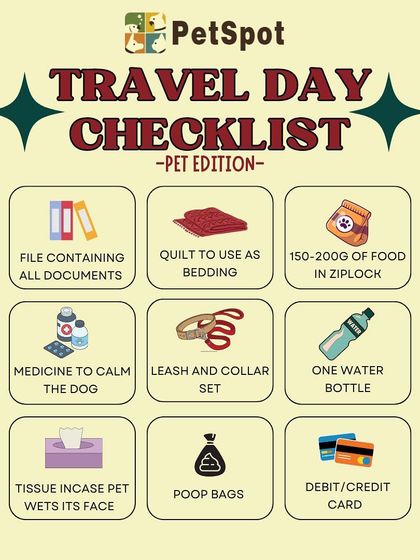 Behind the Scenes: The Relocation Process photo 4