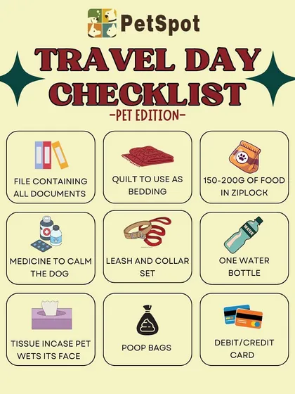 My ultimate travel day checklist for pet parents! I provide this to all my clients to ensure they have everything they need, from documents and medicine to poop bags and a water bottle.