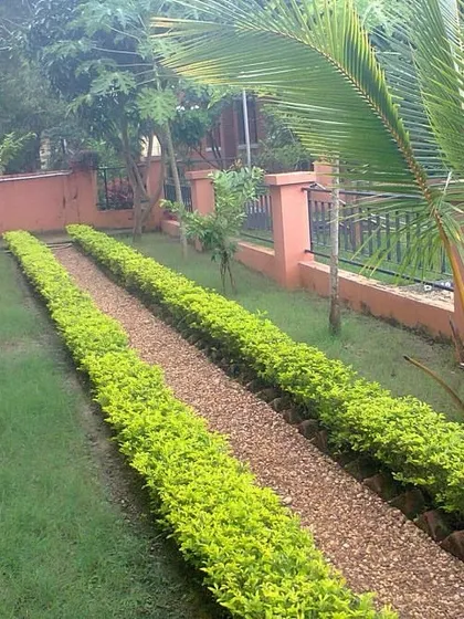 Another angle of the gravel path and hedge design, showing how it creates a clean and defined walkway alongside a building.