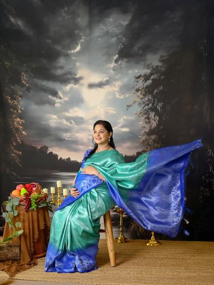 Timeless Saree Elegance photo 20