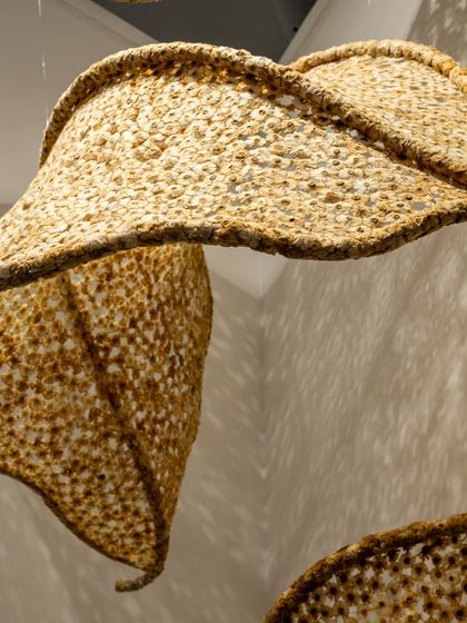 A detail shot showing the curved edge and porous surface of a 'Biography' sculpture. The structure is supported by a hidden cane and steel skeleton, allowing the delicate material to hold its organic, flowing shape.