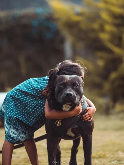 This is why I do what I do. I believe every dog, including this gentle Pitbull, can be a loving family member. My inn is a safe space for all breeds, big and small.