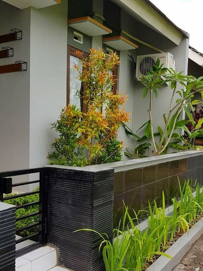 Curated Plants & Hardscape Materials photo 3