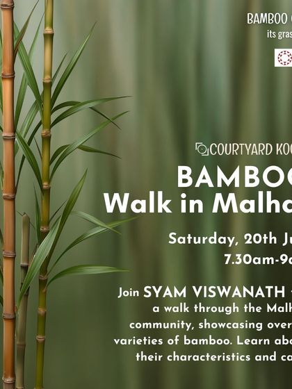 Poster for the "Bamboo Walk in Malhar," a guided tour showcasing the 10+ varieties of bamboo in our community.