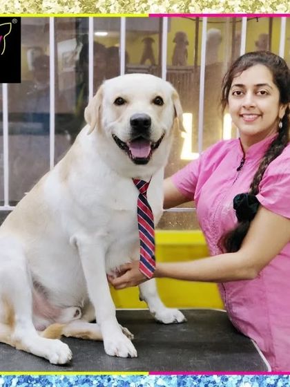 Fuzzy Wuzzy - Pet Grooming & Spa Spaniels, Retrievers & Large Breed Grooming photo 40