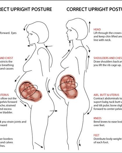 Correct posture is vital during pregnancy to prevent back pain and improve breathing. This diagram illustrates the difference between incorrect and correct upright posture, showing how to align your body to support your baby.