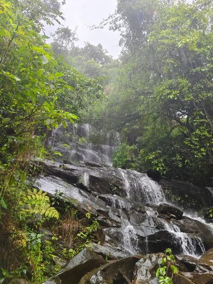 A small, beautiful waterfall cascading over rocks, a common and refreshing sight along the Netravati trekking path.