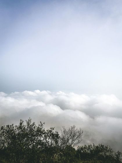 A sea of clouds as far as the eye can see. This is the reward for your early morning climb at Skandagiri, a truly ethereal landscape.