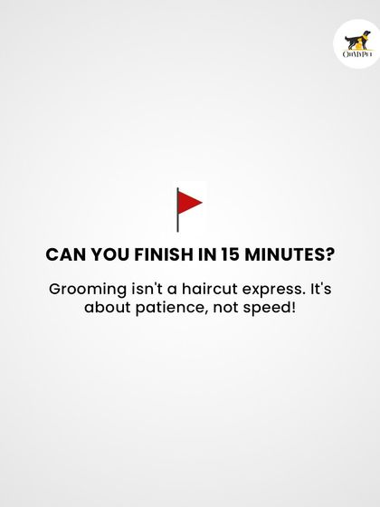 Oh My Pet - At-home Pet Grooming A Pet Parent's Guide photo 5