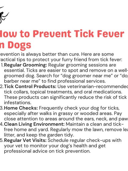 Woofly - Home Veterinary Services Parasite Prevention: Ticks, Fleas & More photo 9