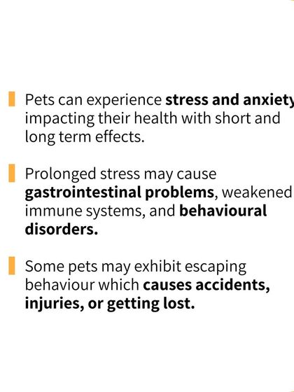 Pethowz - Pet Parent Education Pet Care Tips & Fun Facts photo 3