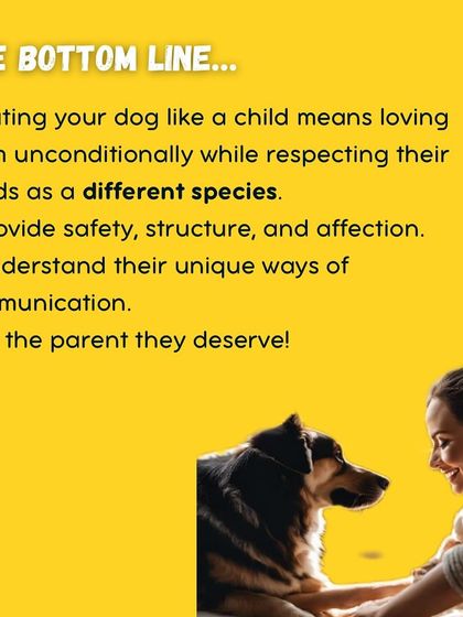 Garima Tomar - Board and Train Programs My Training Philosophy photo 7