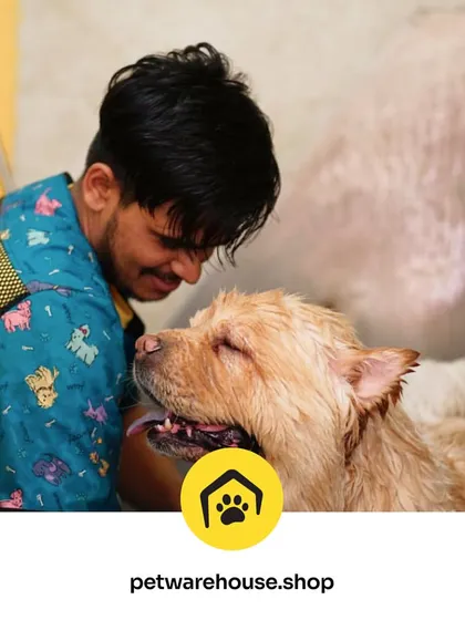 Building a bond with your pet is the first step to a great grooming experience. Here, one of our expert groomers shares a moment of trust with a fluffy Chow Chow before starting their bath. This gentle approach is key to our service.
