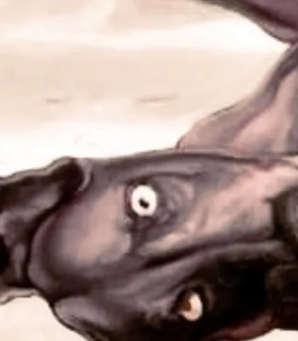 The expressive face of the dog in my painting "Fucchu's comeback." Capturing the soul of an animal in a portrait is a challenge I deeply enjoy.