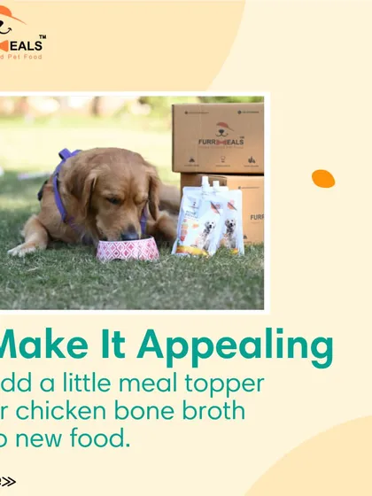 This collection of infographics and product shots provides a comprehensive guide to understanding, preventing, and managing dog obesity with my specialized diet plans and responsible treating tips.