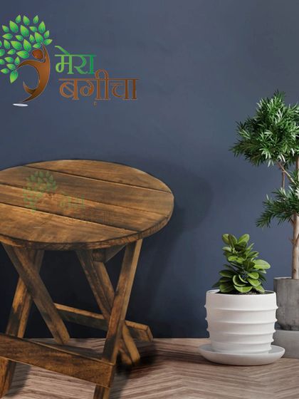 Gardening Essentials photo 6