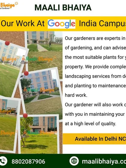 I am proud to have designed and maintained the landscapes at the Google India Campus. This project involved large scale lawn management and planting designs that suit a professional corporate environment, proving that no project is too big for my team.