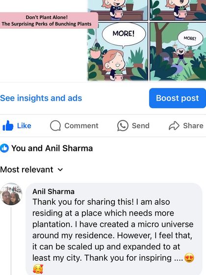 Greenedeck - Gardening Workshops & Consultation Words from Our Gardeners photo 8