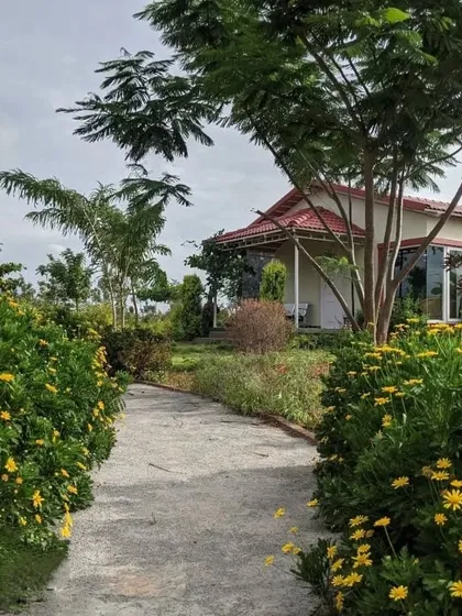 A welcoming pathway lined with vibrant yellow flowers leads to the front door of this home. My goal here was to create a journey through the garden that is full of color and life, making the walk home a beautiful experience.