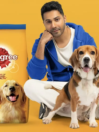 A heartwarming shoot with Varun Dhawan for Pedigree. Working with animals requires patience and the ability to capture spontaneous, genuine interactions.