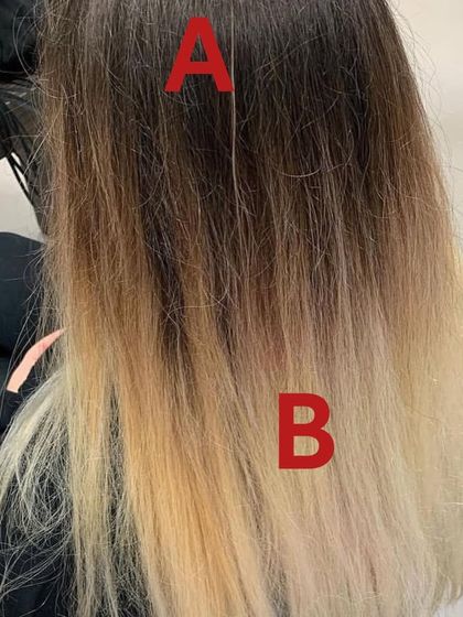 The "before" shot for a full head of Magenta Pink. Note the existing color on the ends (Area B) versus the darker roots (Area A), which requires a two-part application.