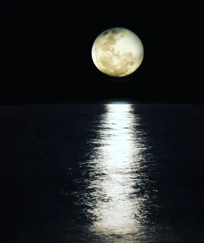 The phase of the moon, or Tithi, at your time of birth has a profound influence on your emotional state, relationships, and marriage. I analyze this aspect of your chart to help you understand your inner self and navigate your connections with others more harmoniously.