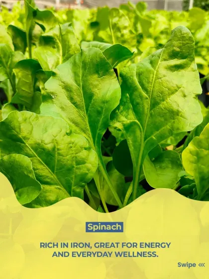 We use fresh spinach in many of our meals. It's rich in iron and great for providing natural energy to support your everyday wellness.