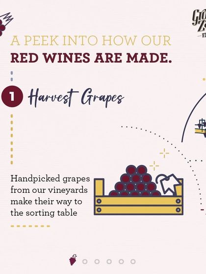 Our red winemaking process starts with handpicked grapes from our vineyards, which are brought to the sorting table to ensure only the best fruit is used.