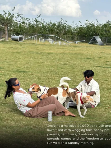 Imagine a Sunday morning on a massive 22,000 sq ft green lawn, with happy dogs running free and a delicious brunch spread waiting for you. That's our Bark & Brunch event, a perfect weekend escape for the whole family, two-legged and four-legged.