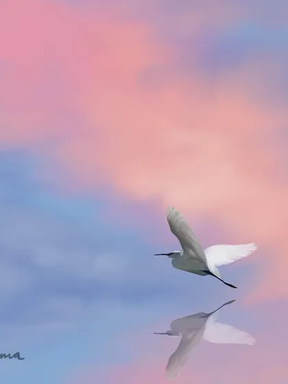 A single bird flying over its reflection in a pastel sky. This is a piece of art therapy for me, a simple, meditative painting that brings a sense of calm.