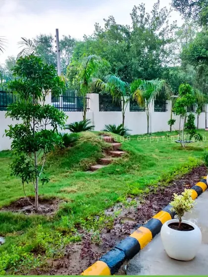 A landscaping project for a property perimeter, featuring newly planted trees, manicured grass patches, and clean white planters for a modern look.