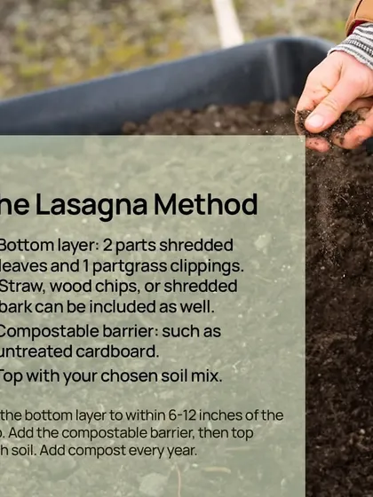 The Lasagna Method is perfect for filling deep raised beds. It involves layering organic materials like leaves and cardboard at the bottom before topping with your chosen soil mix.