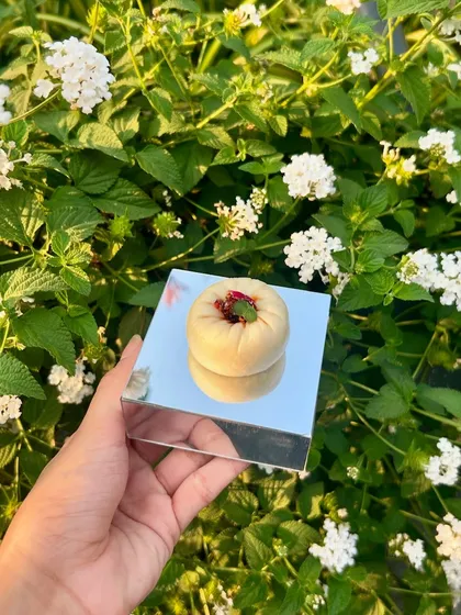 A Shanghai Vegetable Bao Bun, held against a natural green backdrop, highlighting its perfect shape and simple elegance.