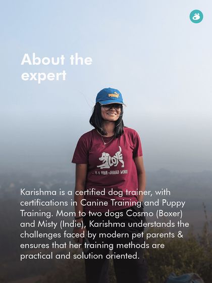 The Pack - Pet-Friendly Adventures & Meetups Guided Treks & Nature Hikes photo 19