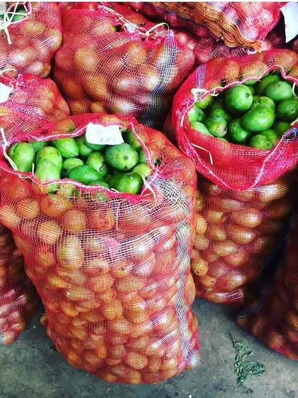 Sourcing ingredients from the start. Here are bags of fresh lemons and mangoes, the foundation of our pickles.