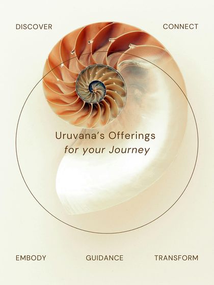 Your journey with us can unfold across different experiences: Discovery, Connection, Embodiment, Guidance, and Transformation. Each path is designed to guide you toward greater alignment, healing, and empowerment.