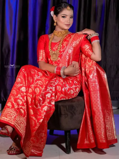 A seated portrait that showcases the rich brocade work of the Banarasi saree.