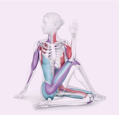 Nirmala Yoga - Yoga Therapy for Health Conditions Yoga for Digestion & Metabolism photo 17